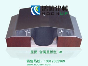 供应屋面变形缝(伸缩缝)-金属盖板型 RM